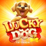 Lucky Dog
