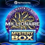 Millionaire Mystery Box