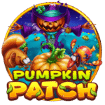 Pumpkin Patch