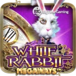 White Rabbit