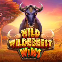 Wild Wildebeest Wins
